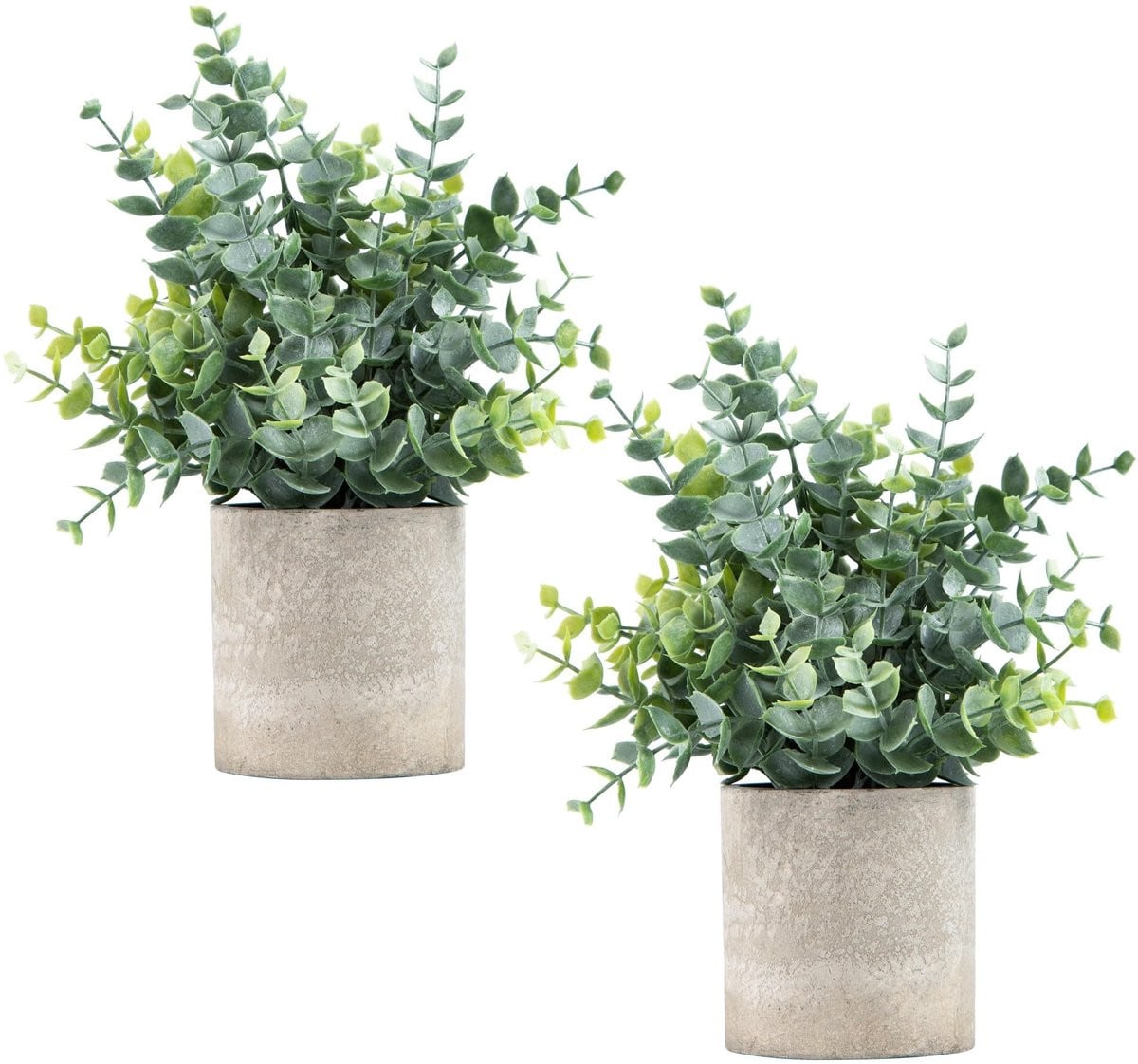 Dailygoods Set van 2 Kleine Kunstplanten in Pot voor Binnendecoratie