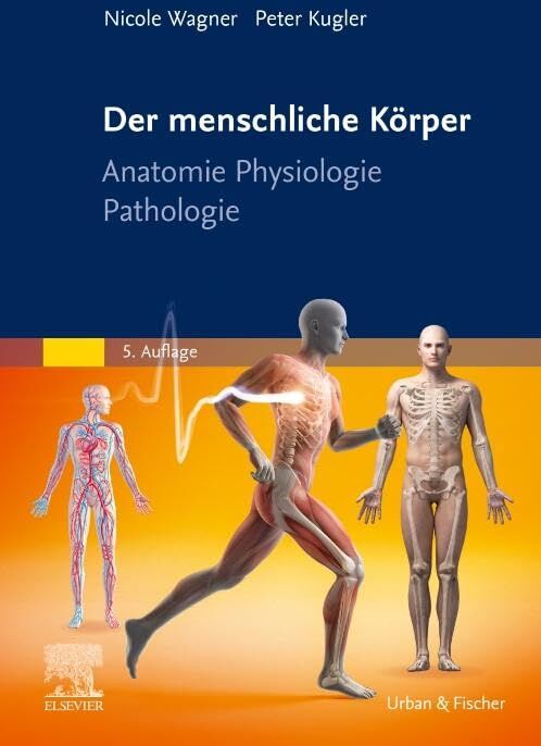 Peter Kugler - Der menschliche Körper: Anatomie Physiologie Pathologie - Preis vom 09.10.2026 07:28:09 h