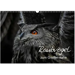Calvendo, Kalender, Raubvögel zum Greifen nahe (Wandkalender 2026 DIN A3 quer), Monatskalender (A3)