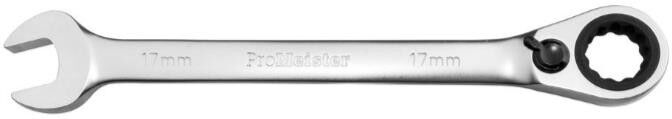 ProMeister PT120010 Ratchet Ring Open-ended Spanner