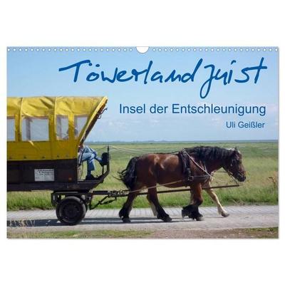 Töwerland Juist (Wandkalender 2026 DIN A3 quer), CALVENDO Monatskalender