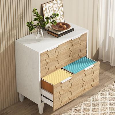 Lee 2-Drawer Lateral File Cabinet for A4/Letter/Legal Size, White & Grey Office Storage Cabinet Printer Stand