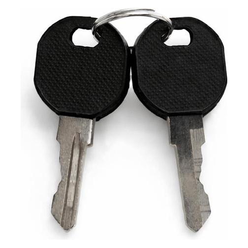 Dsit Extra Schlussel für die Türen von einem Serverschrank ( Inkl. Ersatzschlüssel) (DS-LOCK-KEY)