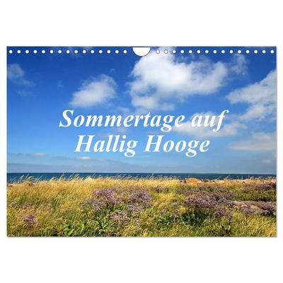 Sommertage auf Hallig Hooge (Wandkalender 2026 DIN A4 quer), CALVENDO Monatskalender