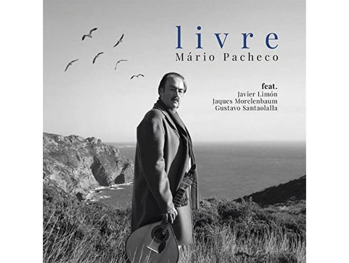 Mário Pacheco: Livre