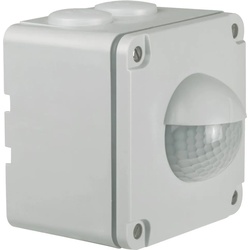 Niko Züblin 25237 Swiss Garde 300 AP IP55, grau