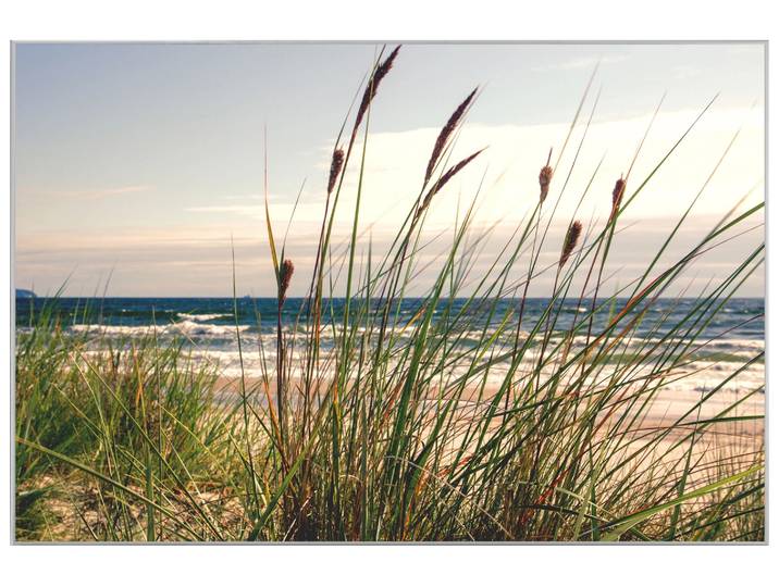 Bild mit Rahmen Seegras image LAND