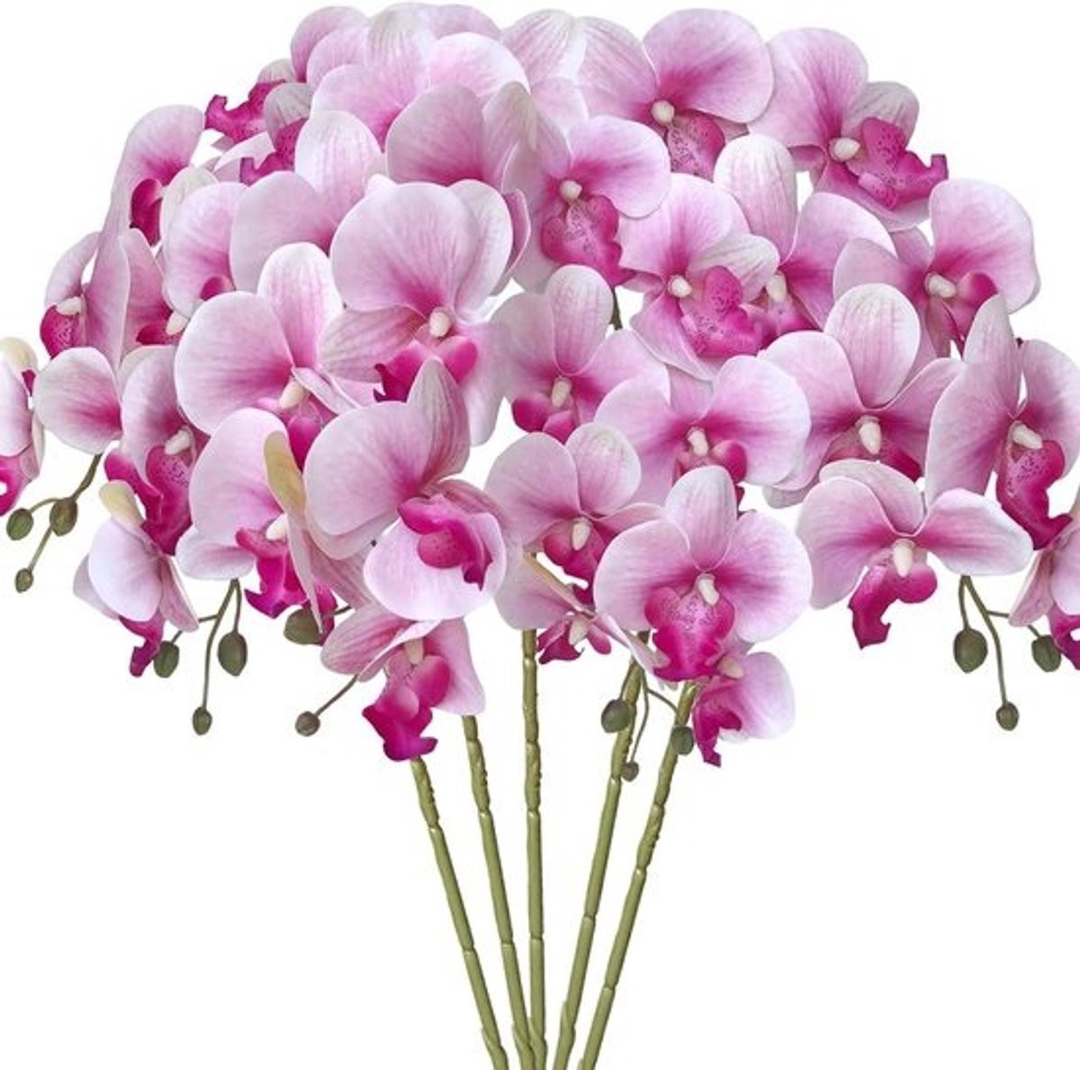 Kunst Orchidee Bloemen Phalaenopsis Takken Wit Paars - 80 cm Lengte