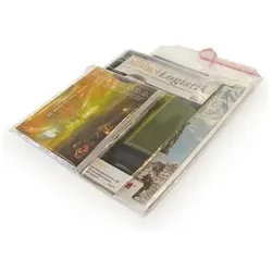 Transpak, Versandtasche + Luftpolstertasche, Folienversandhülle Masse 225x310mm Stärke 70μ LDPE transparent SK L310xBmm