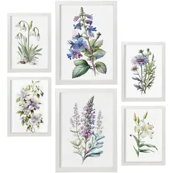 POSTER Set Mit 6 Lilien Vollfarbige Natur Und Botanikdrucke Mit Blumenmotiven Auf Reinweißen Hintergründen Innenarchitektur A3 & A4 Weißer Rahmen