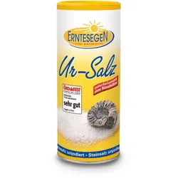 Erntesegen Ur-Salz Streudose 400g
