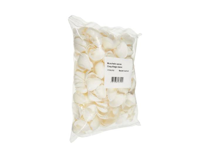 Muscheln Weiss 1.2 kg