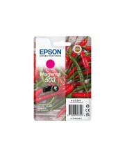 Epson Ink/503 502 Binoculars 3.3ml MG SEC Magenta 3,3 ml (C13T09Q34020)