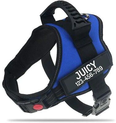 Uplift Treasures Adjustable Nylon Dog Harness With Custom ID Tag 6 xl