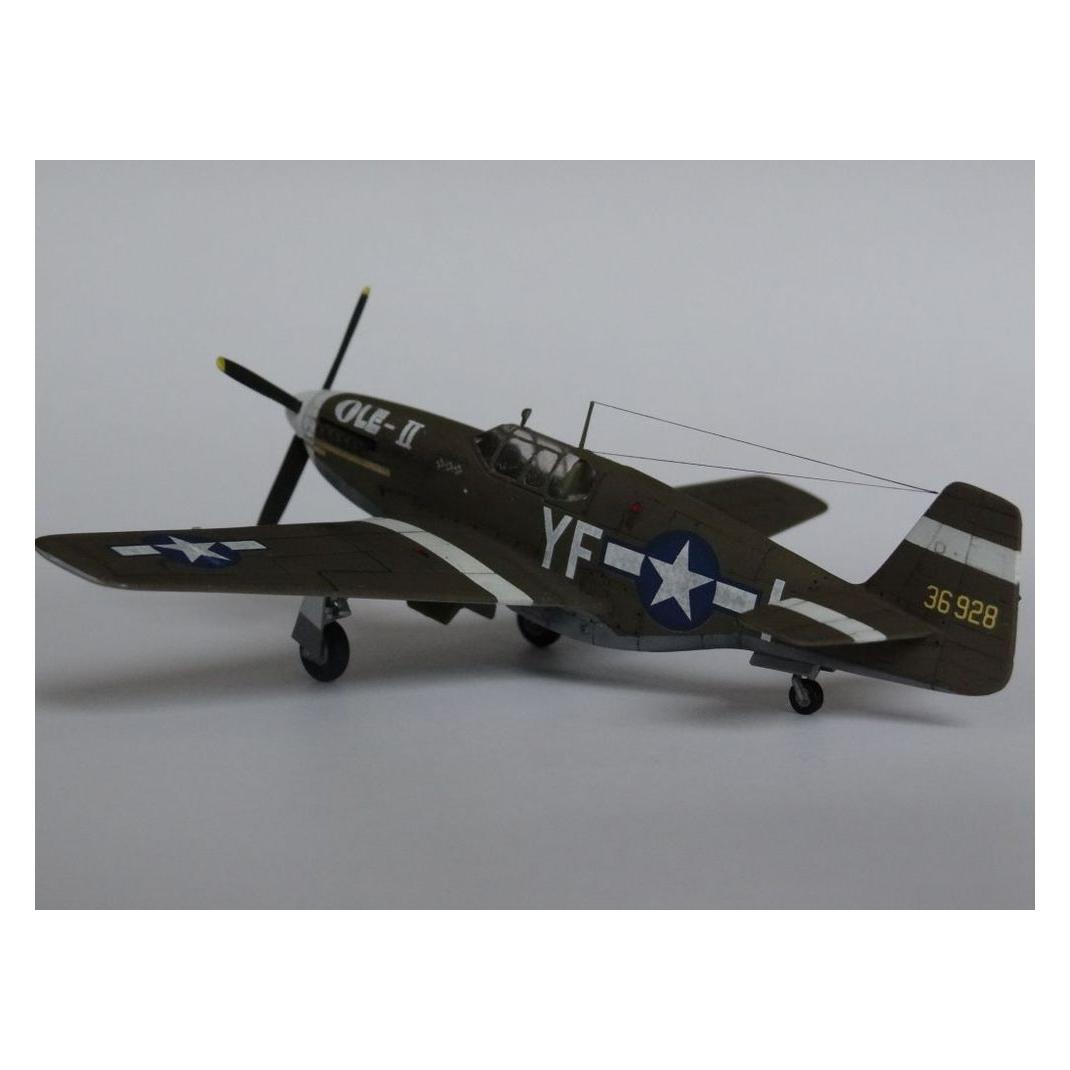 MeisterCraft P-51 B-1 BullFrog I (C-46)