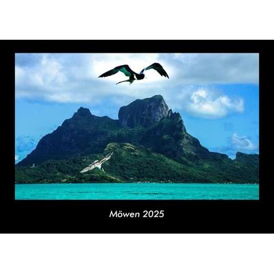 Möwen 2025 Fotokalender DIN A3