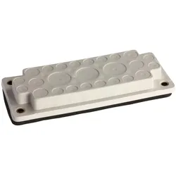 Schneider Electric NSYAECPFLA33 Membran für Kabeleingang FL21 mit 33 Eingängen 9x18 mm + 24x14 mm.