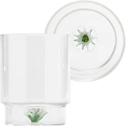 Teca Winter Game Edelweiss Glas 350 ml