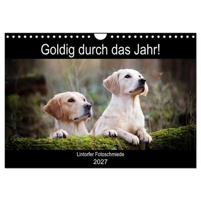 Goldig durch das Jahr! (Wandkalender 2027 DIN A4 quer), CALVENDO Monatskalender