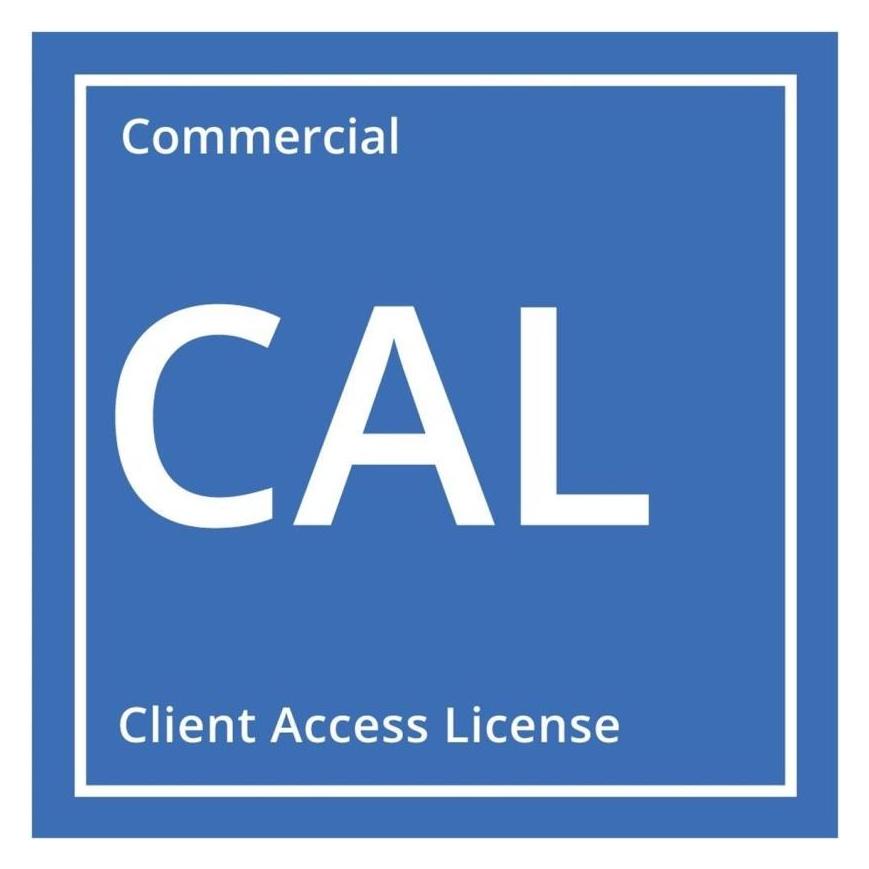 HPE Microsoft Windows Server 2025 1 User CAL WW LTU (1 User, unbegrenzt) (P77110-B21)