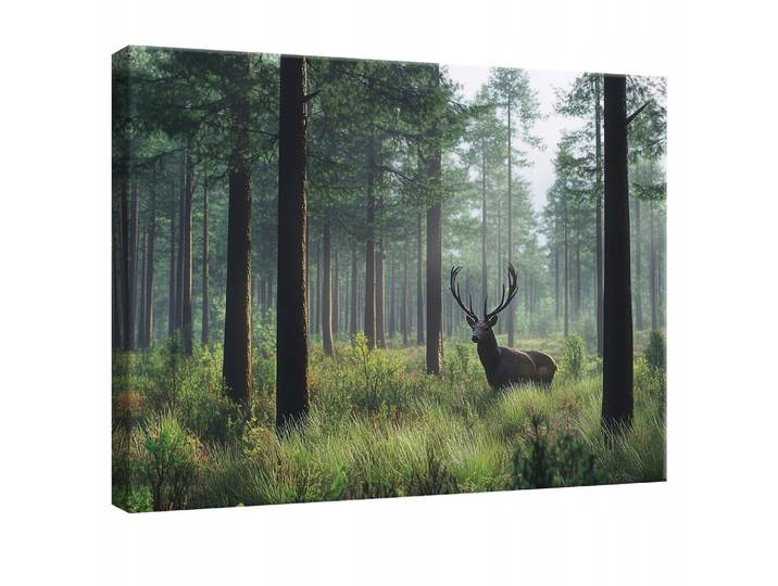 WANDBILD Hirsch Wald Natur Modern 60x40