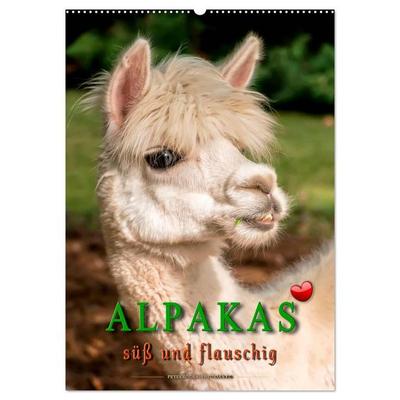 Alpakas - süß und flauschig (Wandkalender 2026 DIN A2 hoch), CALVENDO Monatskalender