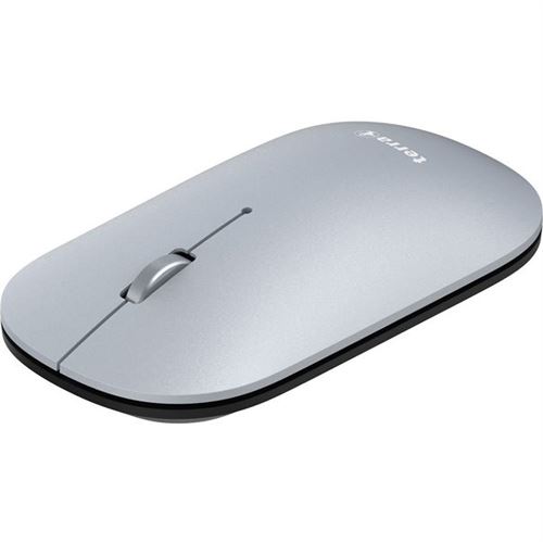 Terra NBM1000S 2.4 GHz & Bluetooth silber (kabellos)
