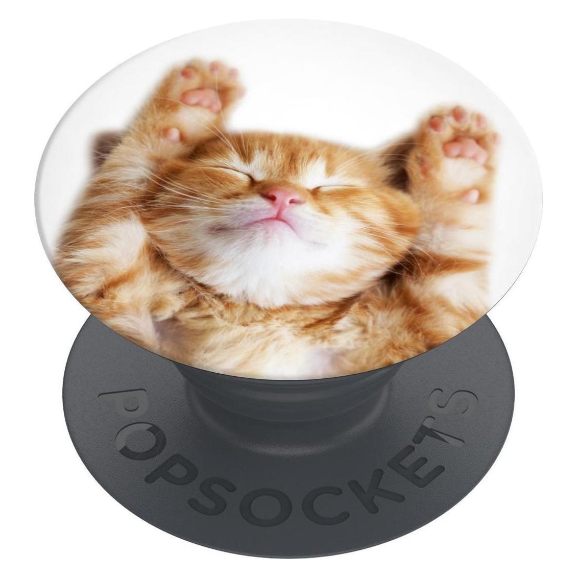 PopSockets PopGrip Basic Snoozy Cat (70072)