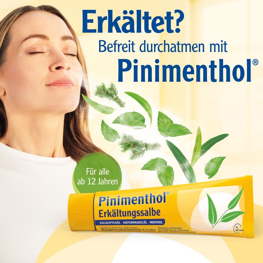 Pinimenthol Erkältungssalbe Eucal./Kiefern./Menth. 2x 2x100 g Creme