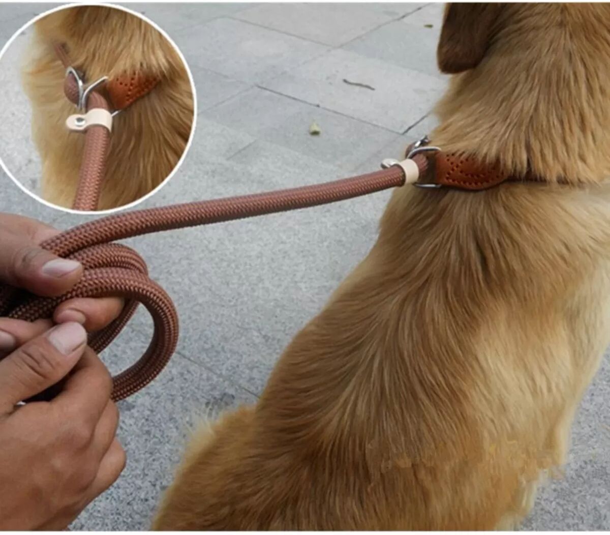 INF Heavy Duty 1.5m Dog Training Slip Lead with Comfortable Grip and Stainless Steel Ring café