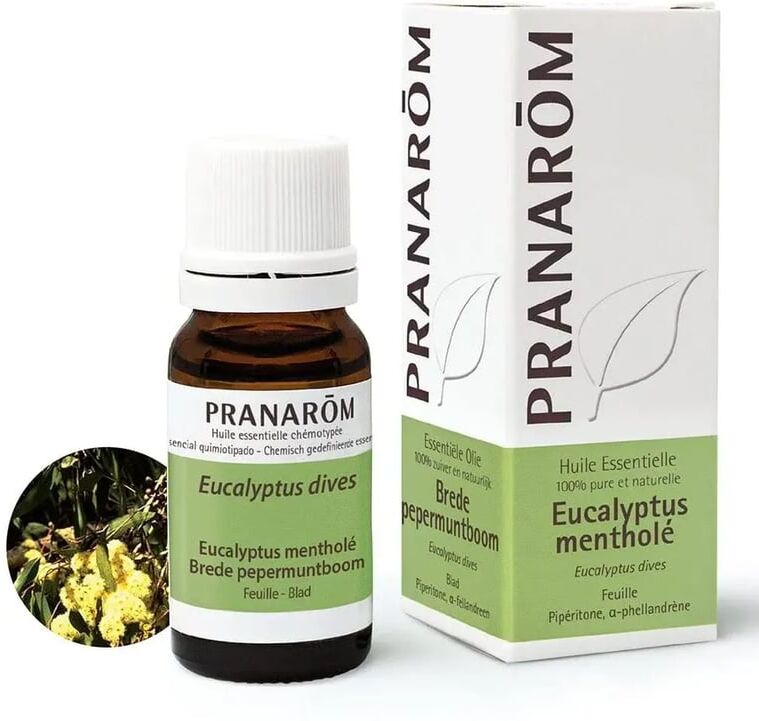 Pranarom Eucalipto Mentolado Folha