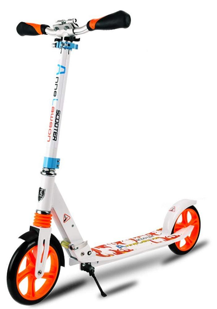 Solidchoice - Klappbarer Roller mit verstellbarem Lenker