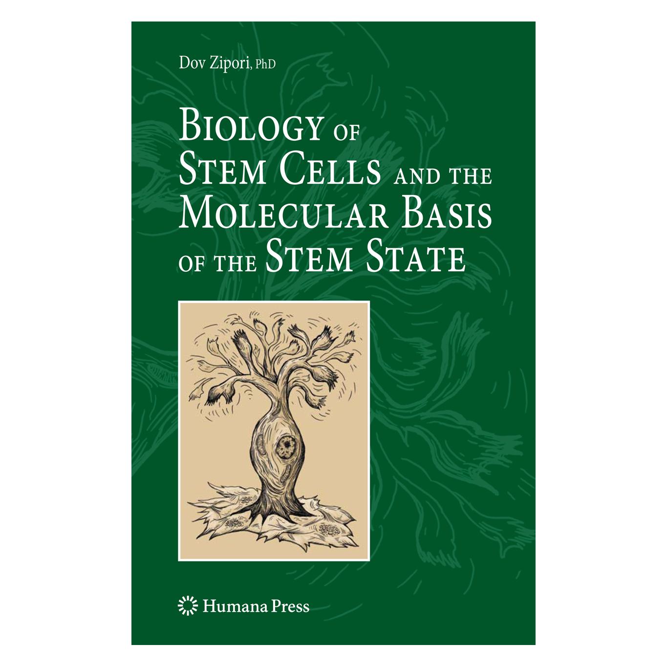 Springer Biology of Stem Cells and the Molecular Basis of the Stem State (Englisch, Softcover, Dov Zipori) (55420276)
