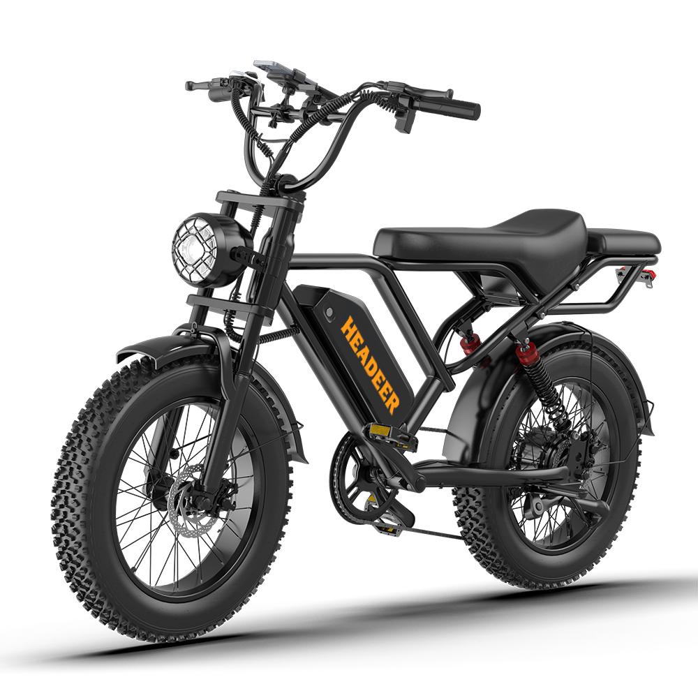 BK20 Fatbike-Elektrofahrrad, 48V 20Ah Akku, 20-Zoll breite Fettreifen, Doppelscheibenbremsen vorne und hinten, LED-Display, All-Terrain