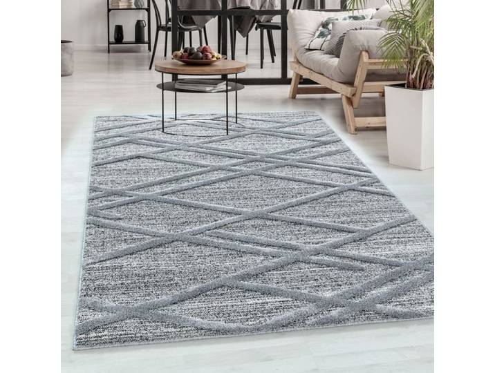 Carpetsale24 Tapis Bohème 3Dgris 120x170 cm style scandinave design Scandinave doux et moelleux