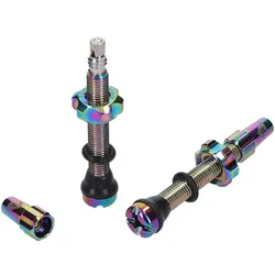 WOLF TOOTH Tubeless Ventile Stem Kit | rainbow