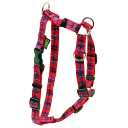 Arka Standard Hundegeschirr (Hund, Spazieren), Halsband + Leine