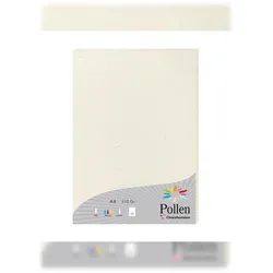 Pollen 10x Pollen, Natura 100% recycelt, Schachtel mit 25 Blatt A4 210g - Natura 55014C