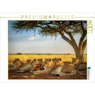 CALVENDO Puzzle Ein Funken Wildnis in jedem Augenpaar. | 1000 Teile Lege-Größe 64x48cm Foto-Puzzle für glückliche Stunden, von , Calvendo Puzzle