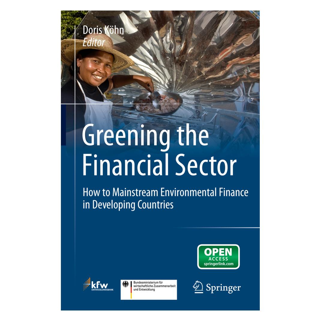 Springer Greening the Financial Sector (Englisch, Softcover, Doris Köhn) (55548998)