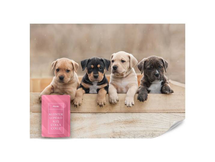 FOTOTAPETE für Kinderzimmer Süße Hunde Tiere 200x140