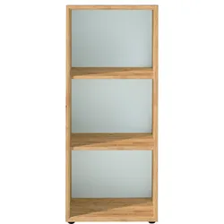 Germania Aktenregal Monteria Holzoptik Braun Eiche