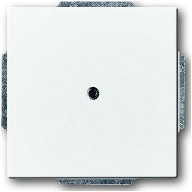 Busch-Jaeger Plaque centrale dav/sws avec bague de support 1742-84 (2CKA001710A3161)
