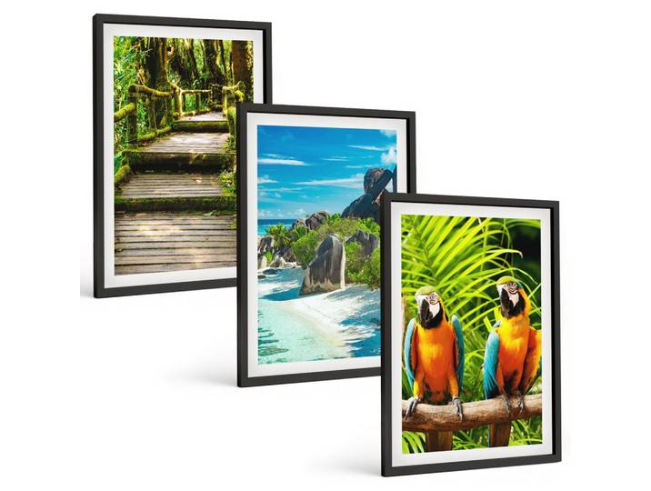 BILDER SET 3er Set - 40x60 cm Schwarzer Rahmen - Tropischer Wald Papageienwasserfall