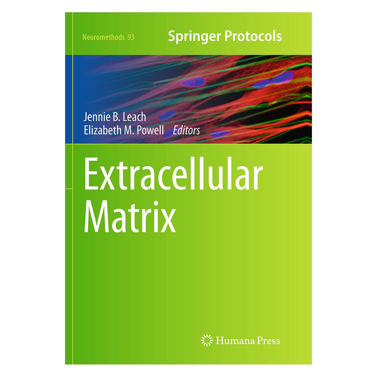 Springer Extracellular Matrix (Englisch, Softcover, Elizabeth M. Powell, Jennie B. Leach) (55834463)
