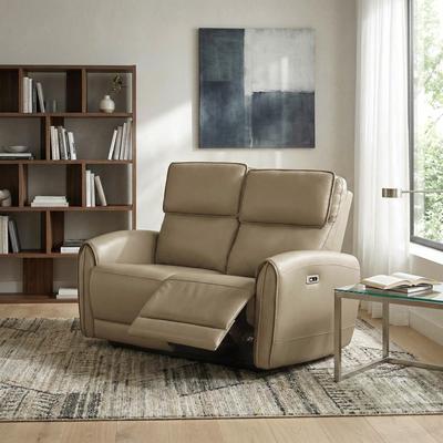 Furniture of America Elente Modern Power Recline Faux Leather Loveseat