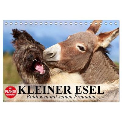 Kleiner Esel. Boldewyn mit seinen Freunden (Tischkalender 2026 DIN A5 quer), CALVENDO Monatskalender