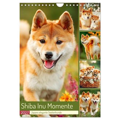 Shiba Inu Momente. Japans elegante Seelenhunde (Wandkalender 2027 DIN A4 hoch), CALVENDO Monatskalender