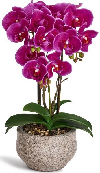 4EverGreen Orkide, 42 Cm, Lilla