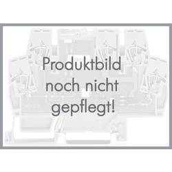WAGO 279-518 Abschluss- und Trennplatte Grau 100 St.